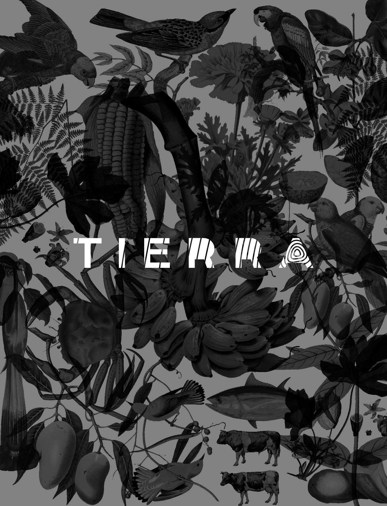 Tierra restaurant branding and art direction project by Javier Casas Moscko