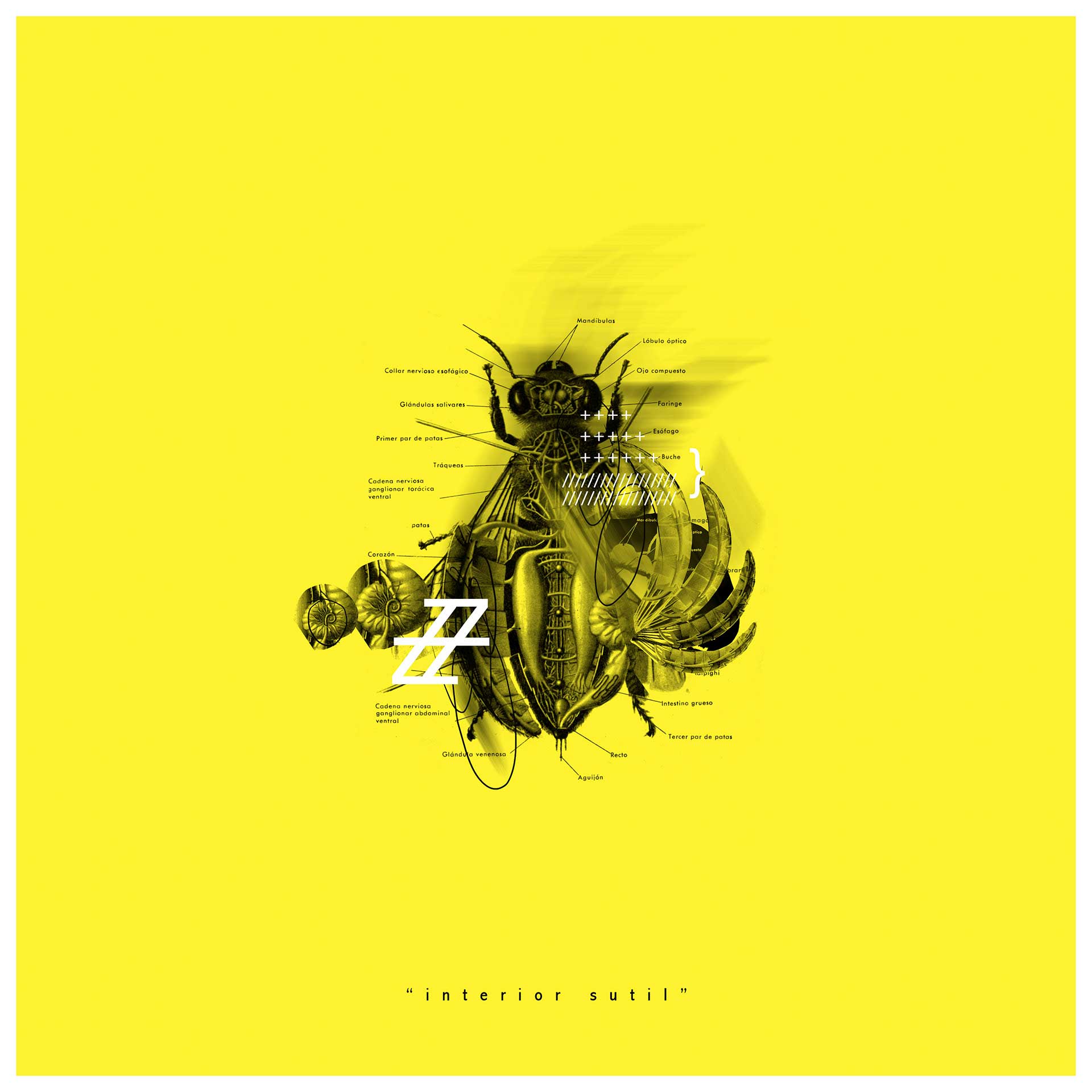 javier-casas-moscko-digitalart-illustration-005-interior artwork by Javier Casas Moscko