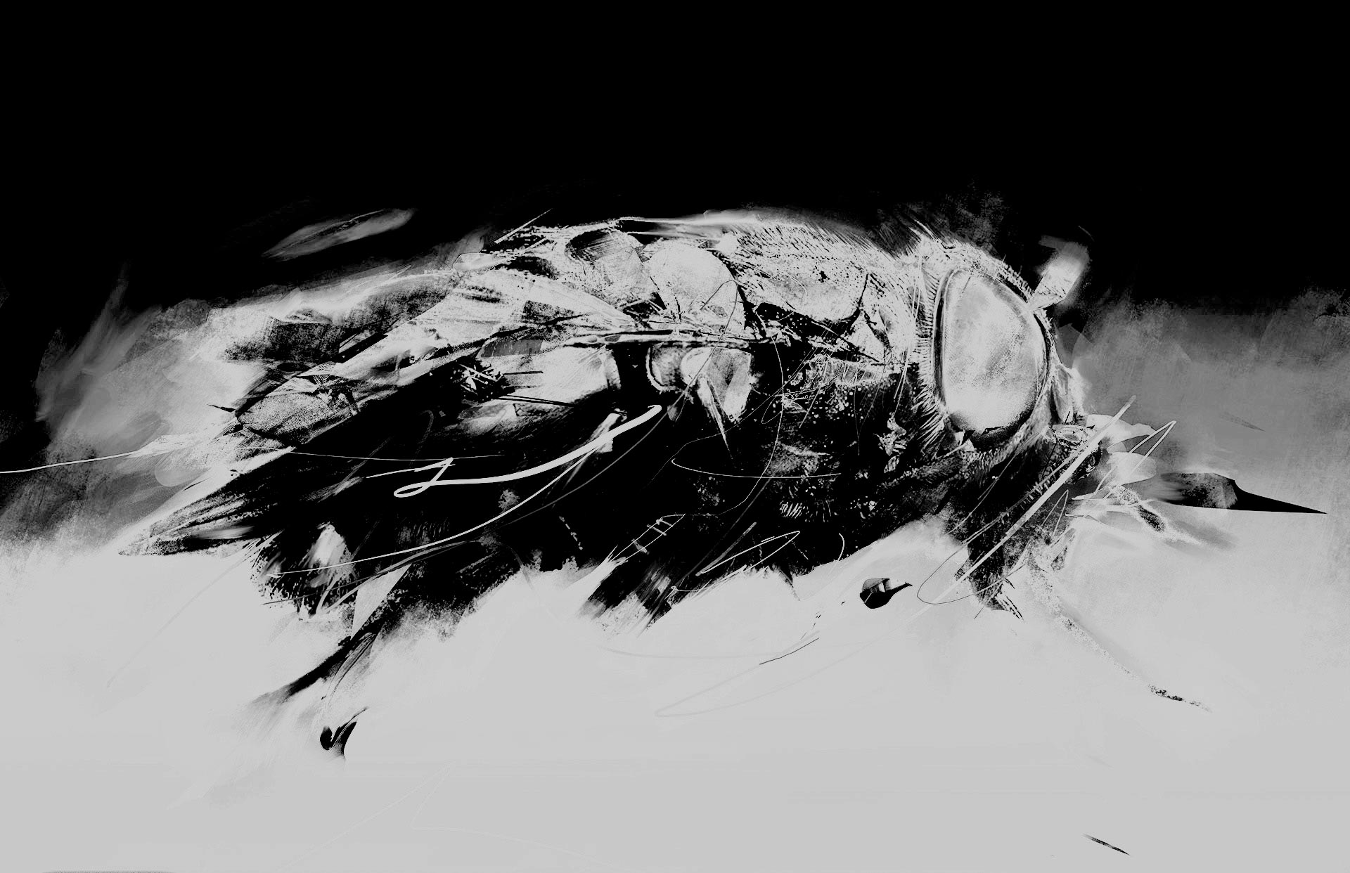 javier-casas-moscko-digitalart-illustration-mosca3 artwork by Javier Casas Moscko